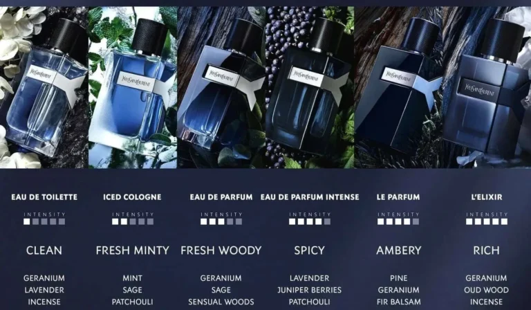 YSL Y Iced Cologne Full Review